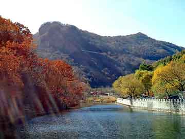 澳门天天彩期期精准平肖，民勤seo程序